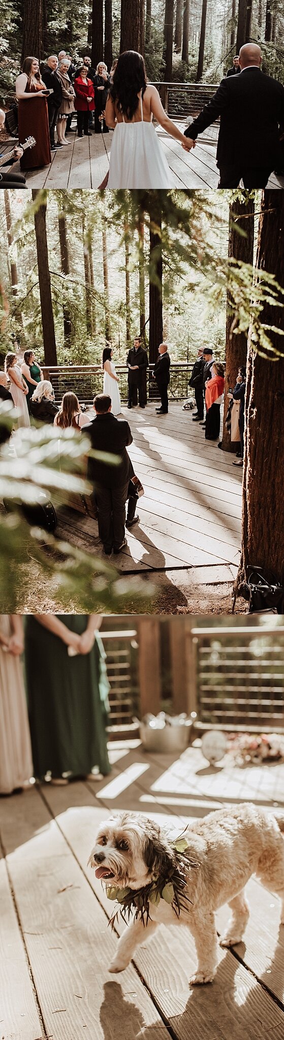 Hoyt Arboretum Oregon Coast Wedding Photographer (28).jpg