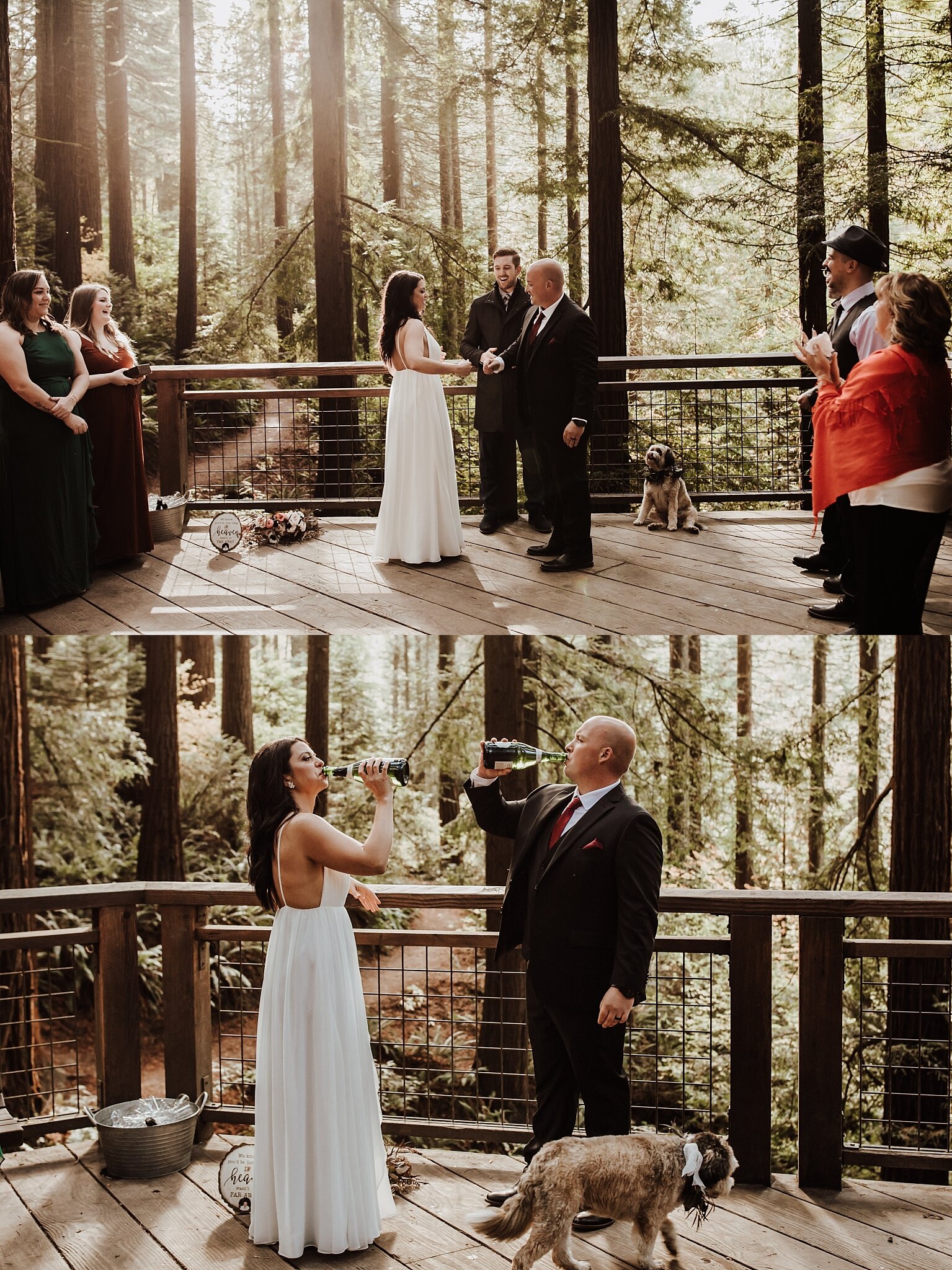 Hoyt Arboretum Oregon Coast Wedding Photographer (30).jpg